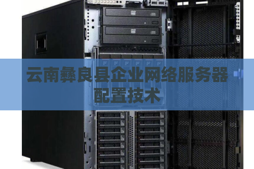 云南彝良县企业网络服务器配置技术