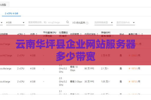 云南华坪县企业网站服务器多少带宽