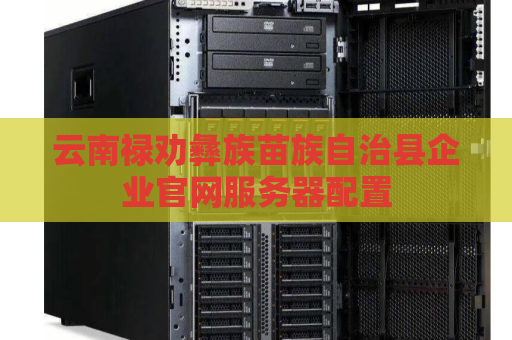 云南禄劝彝族苗族自治县企业官网服务器配置