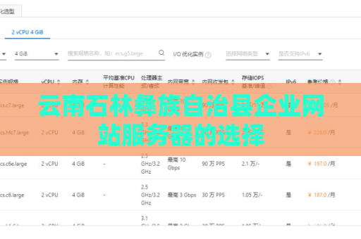 云南石林彝族自治县企业网站服务器的选择