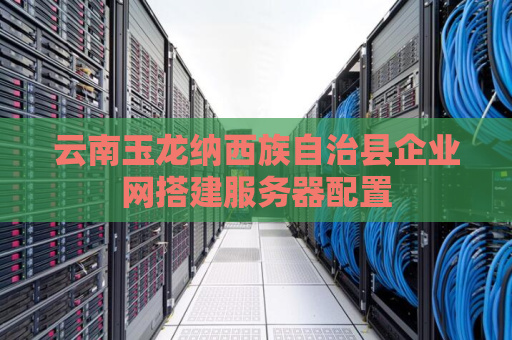云南玉龙纳西族自治县企业网搭建服务器配置