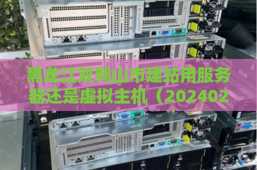 黑龙江双鸭山市建站用服务器还是虚拟主机（20240228更新）