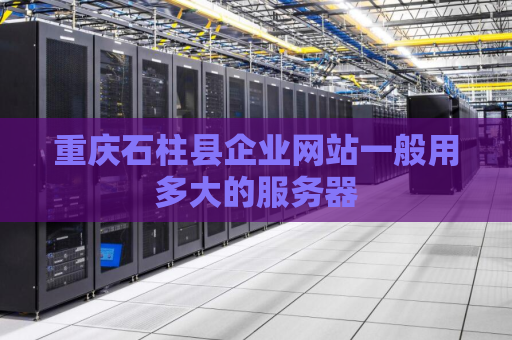 重庆石柱县企业网站一般用多大的服务器