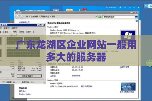 广东龙湖区企业网站一般用多大的服务器