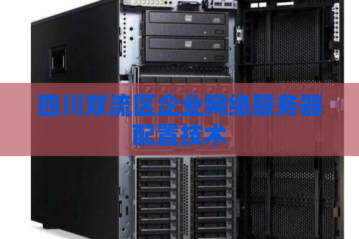 四川双流区企业网络服务器配置技术