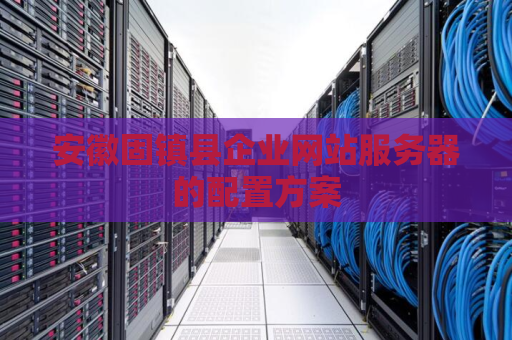 安徽固镇县企业网站服务器的配置方案