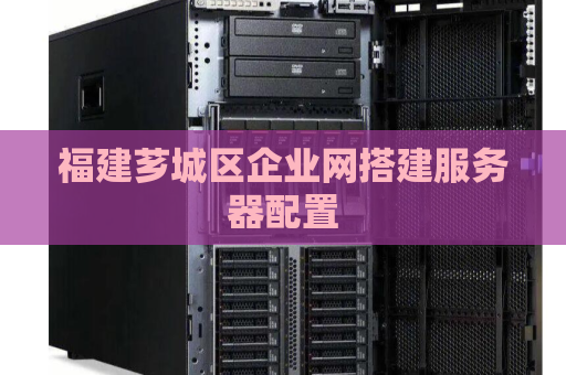 福建芗城区企业网搭建服务器配置