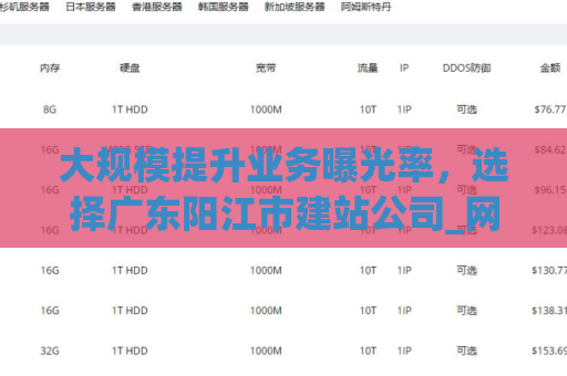大规模提升业务曝光率，选择广东阳江市建站公司_网页设计制作