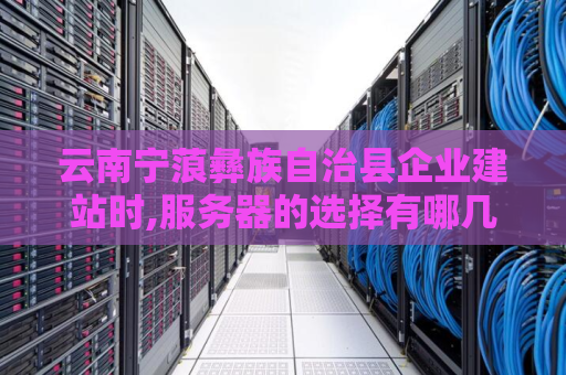 云南宁蒗彝族自治县企业建站时,服务器的选择有哪几种方式