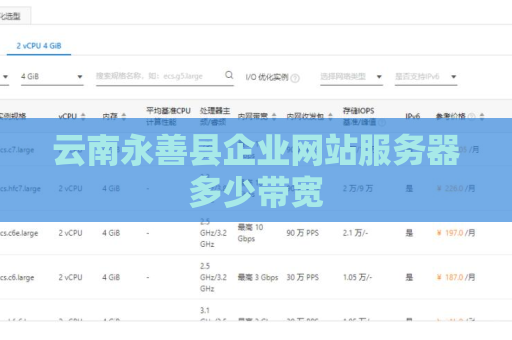 云南永善县企业网站服务器多少带宽